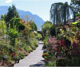 Müko Gartengestaltung AG Bild 5