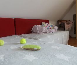 Tierhotel Leinfelder Bild 9
