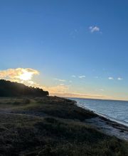 Super Hundeurlaub Bild 6