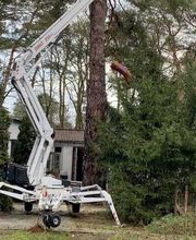 GreenLive Garten- & Landschaftsbau Bild 2