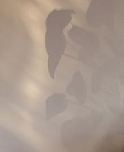 Sembrando en ti imagen 4