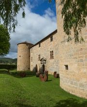 Château des Ducs de Joyeuse image 18