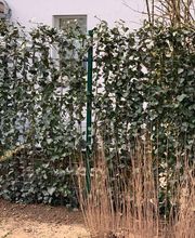 Zweifel Zaunbau GmbH Bild 9