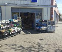 budni - Heidhorst Bild 3