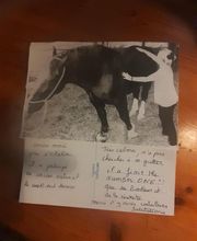 Le Bars Carriou Christine image 14