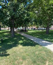 Cornell Injury Law image 20