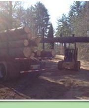 Cane Cutters Landscaping image 2