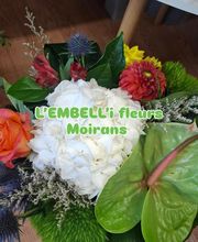 L'Embell'i image 12