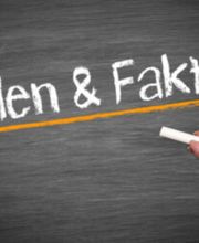 EMS SCOUT matthias holsten e² consulting GmbH Bild 2