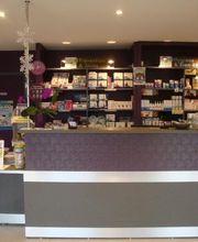 Clinique Vétérinaire Des Mûriers image 7