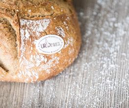 Bäckerei-Konditorei Sterchi Bremgarten Bild 1