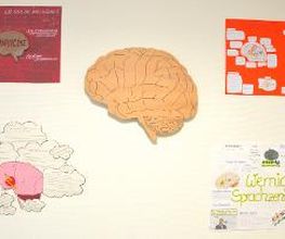 Schautafel zum Thema "Gehirn und Sprache".