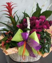 regalos-flores-04-g.jpg