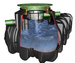 Rainéa21 image 2