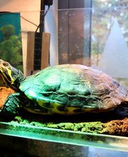 Kita Blütenallee
Darmstadt
pme Familienservice GmbH