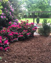 Azizi Garten- und Landschaftsbau Bild 14