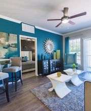 The Meadows at North Richland Hills Apartments image 4