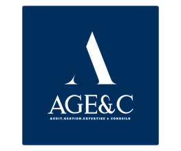 Audit Gestion Expertise & Conseil image 1