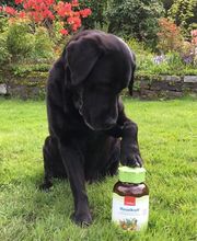 Jentschura (Schweiz) AG Bild 5