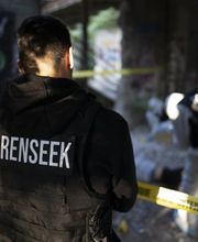 Forenseek image 2