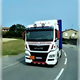 TRANSPORTS DESPEYSSES