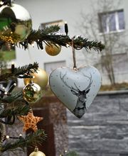 Villiger AG Garten + Pool Bild 2