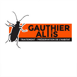 Gauthier Altis