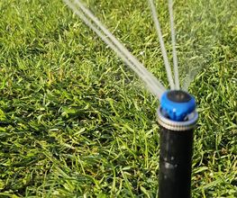 Hausmeisterservice & Gartenstyling Bild 9