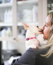 Animal Hospital of Dunedin image 5