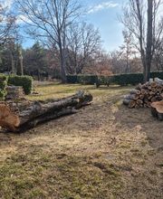 Au Gré Des Arbres image 7