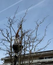 Gartencoach Dario Peyer Bild 2