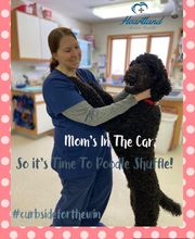 Heartland Animal Hospital image 12