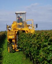 Cognac Michelet image 11