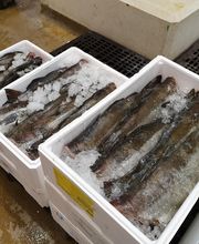 Gilles et Compagnie image 10