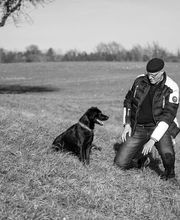 BAD DOG Hundeschule für Problemhunde Bild 1