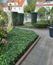 Daily Gartenpflege Bild 15