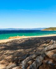 Chauvet Nathalie image 1