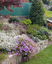 Bernasconi Willy SA Bild 2