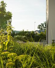 Propaysages SA Bild 8