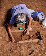 IN SITU SCP imagen 5