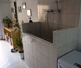 Bine's Hundestyling Bild 3