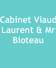 Viaud Laurent image 1