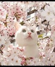 Decourt Valérie image 1