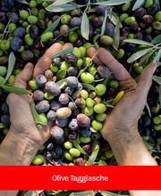 SUD COOP CARNI immagine 12