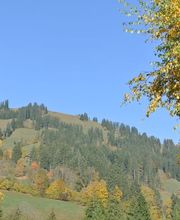 Camping Vermeille Zweisimmen