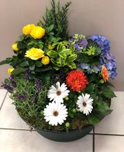 Amicie Fleurs image 1