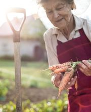 Qualis Vita Biel Bild 5