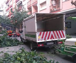 Jardinería Bordera imagen 4