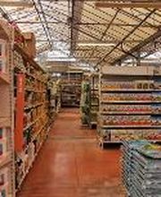 Villaverde Rocchietta Jardinerie Animalerie Le Beausset image 16