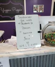 We are not the only ones that have to go for continue education, we have shipped Jace & Gemma off to “Yuppie Puppie Playcare and Grooming of Roselle” for their education before the upcoming tax season.
